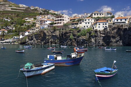 Halászat kikötő falu sziget Madeira Portugália Stock fotó © pedrosala