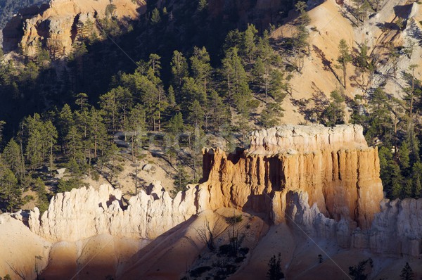 Bryce Canyon Stock photo © pedrosala