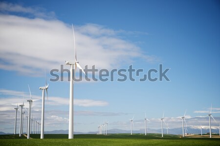 wind energy Stock photo © pedrosala