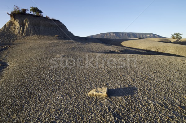 Loam landscape in Spain Stock photo © pedrosala