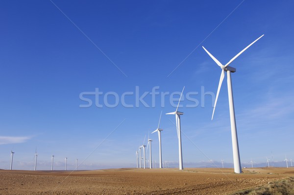 wind energy Stock photo © pedrosala