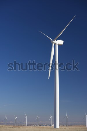 風 能源 可再生能源 電動 生產 天空 商業照片 © pedrosala