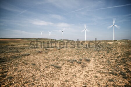 Foto d'archivio: Vento · energia · elettrici · potere · produzione · campo