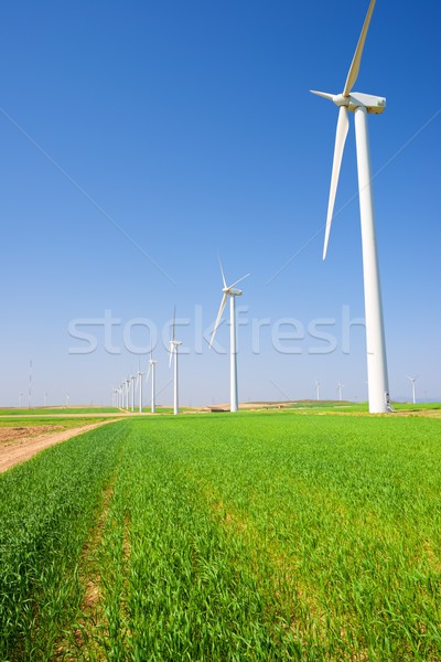 Stockfoto: Wind · energie · elektrische · macht · productie · groene