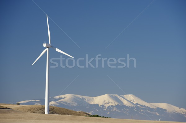 Wind energy Stock photo © pedrosala
