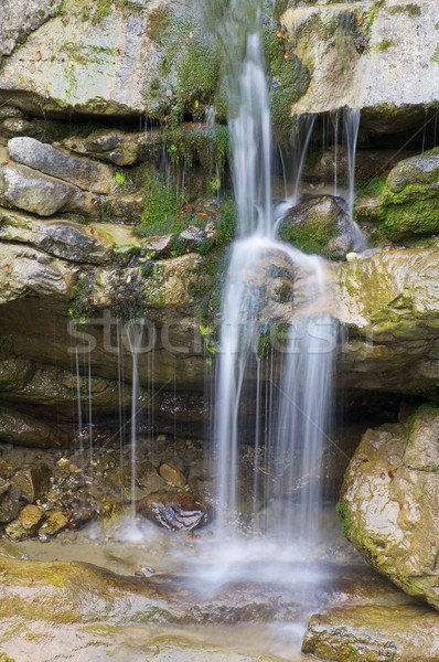 waterfall Stock photo © pedrosala