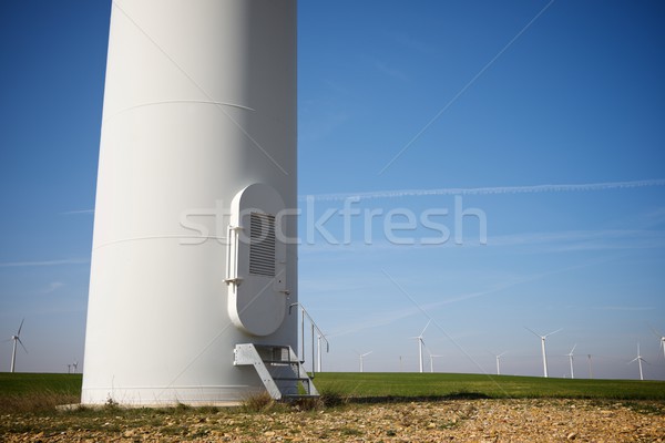 Wind energie elektrische macht productie veld Stockfoto © pedrosala