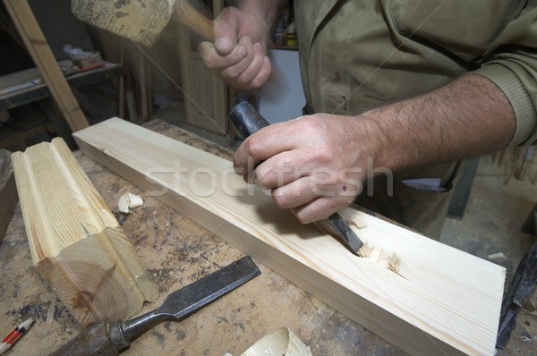 carpenter Stock photo © pedrosala