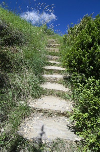 Schritte Stein reichlich Frühling Gras Natur Stock foto © pedrosala