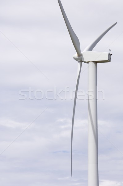 windmill Stock photo © pedrosala