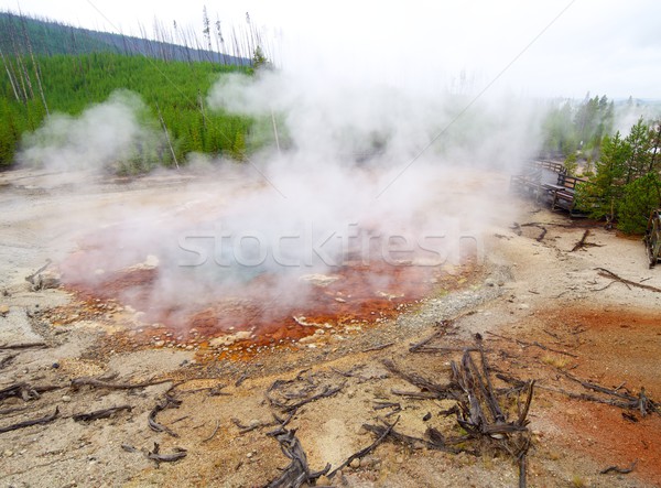 Yellowstone Stock photo © pedrosala