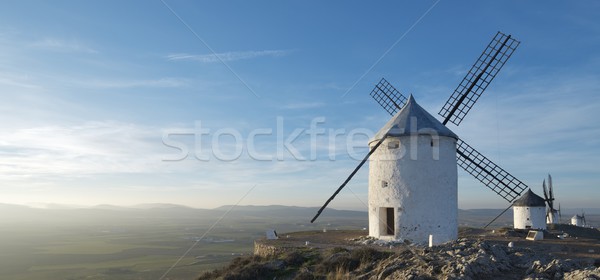 Stock fotó: Naplemente · LA · fa · tájkép · utazás · erő