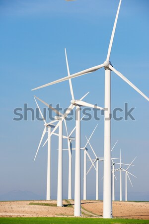 Szél energia elektromos erő gyártás természet Stock fotó © pedrosala