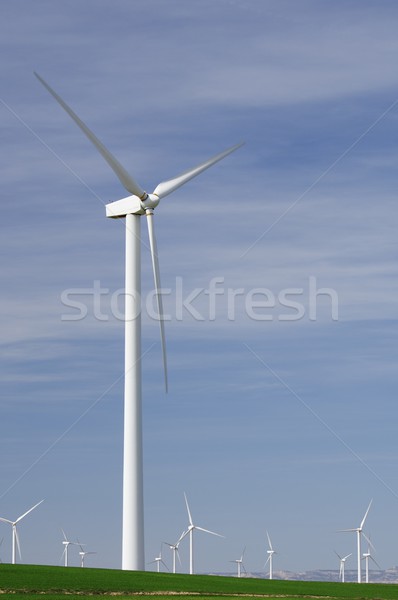 Сток-фото: ветер · энергии · группа · зеленая · трава · небе