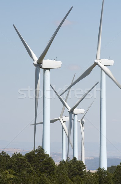 wind turbines Stock photo © pedrosala