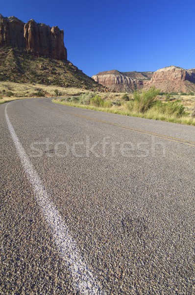 道路 印度 溪 猶他州 美國 天空 商業照片 © pedrosala