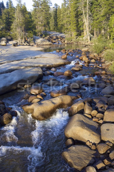 river Stock photo © pedrosala