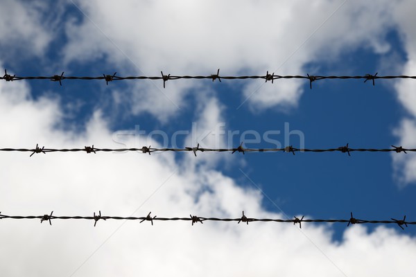 Barbed wire fence Stock photo © pedrosala