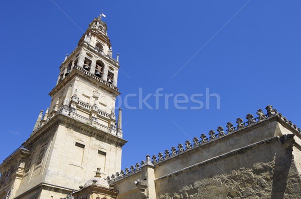 Moschea torre andalusia Spagna costruzione chiesa Foto d'archivio © pedrosala