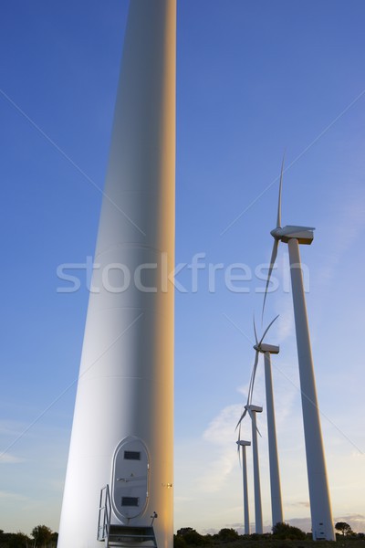 Vento energia elettrici potere produzione panorama Foto d'archivio © pedrosala