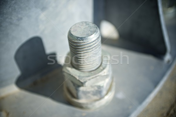 Screw Stock photo © pedrosala