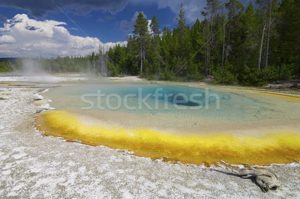Yellowstone Stock photo © pedrosala