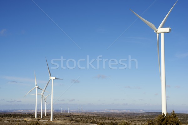 Wind energy Stock photo © pedrosala