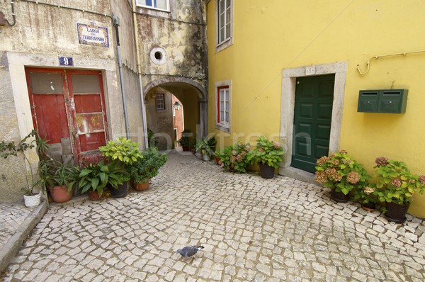 Sintra Stock photo © pedrosala