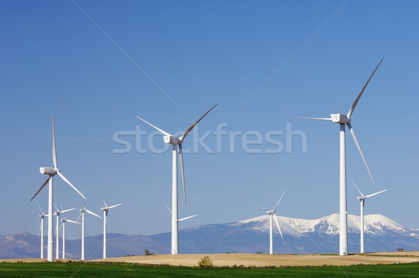 wind energy Stock photo © pedrosala