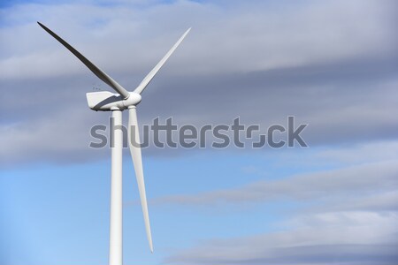 風 能源 風車 可再生能源 電動 商業照片 © pedrosala