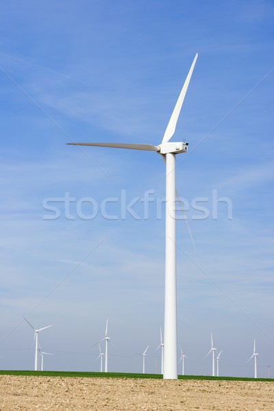 Szél energia elektromos erő gyártás természet Stock fotó © pedrosala