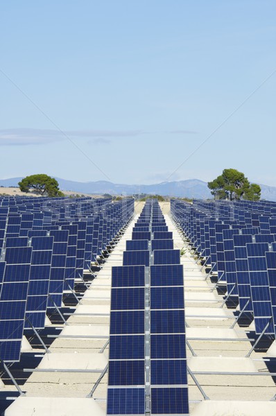 Güneş enerjisi fotovoltaik yenilenebilir elektrik enerji üretim Stok fotoğraf © pedrosala