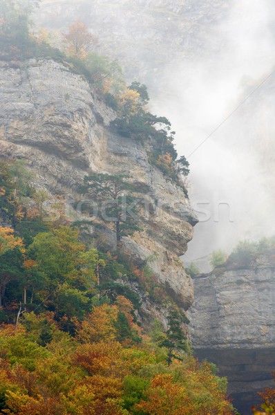 Stock fotó: őszi · fák · völgy · erdő · tájkép · hegy
