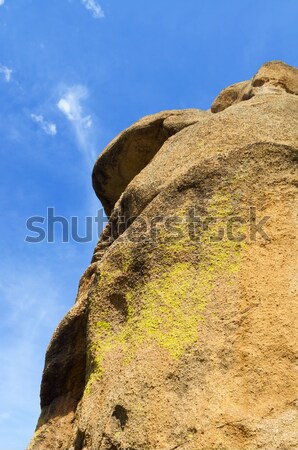 Mongolian landscape Stock photo © pedrosala