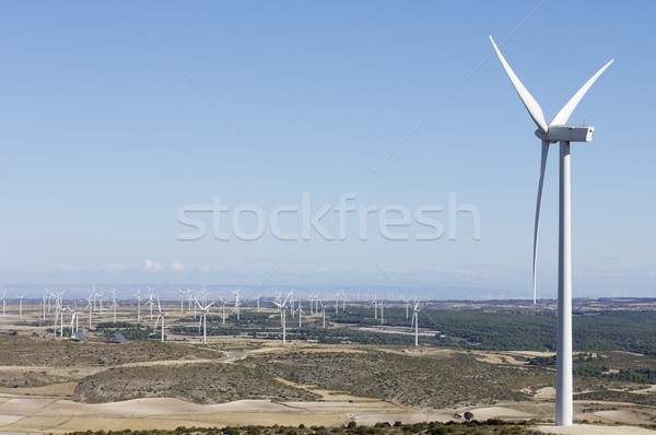 グループ 再生可能な 電気 エネルギー 生産 森林 ストックフォト © pedrosala