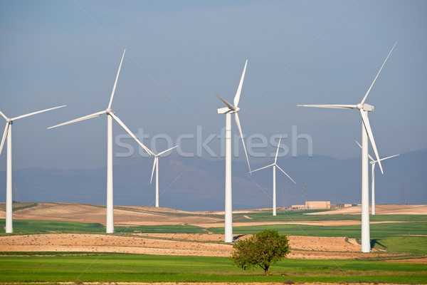 Szél energia elektromos erő gyártás fű Stock fotó © pedrosala