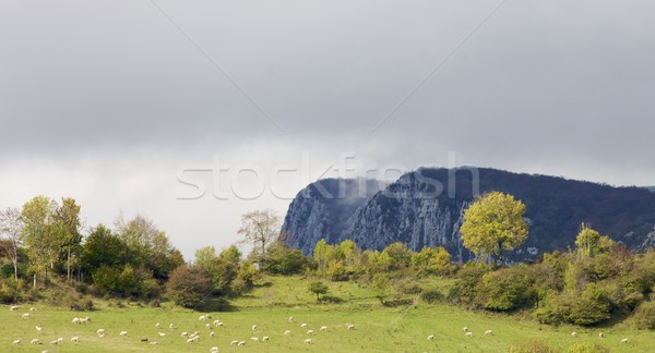Panorama mountain Stock photo © pedrosala