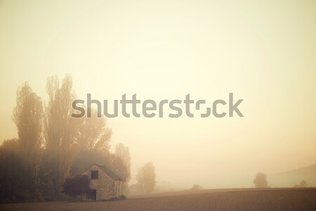Nebel sunrise Silhouette Profil Wiese Umwelt Stock foto © pedrosala
