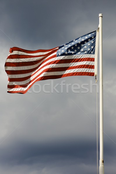 United States flag Stock photo © pedrosala