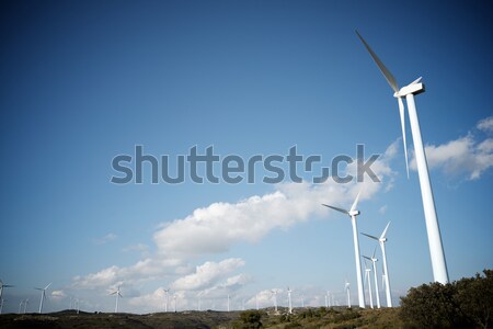 Wind energy Stock photo © pedrosala
