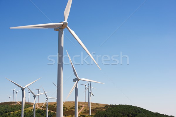 Vânt energie electric putere producere pădure Imagine de stoc © pedrosala