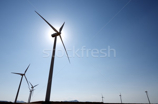 wind energy Stock photo © pedrosala