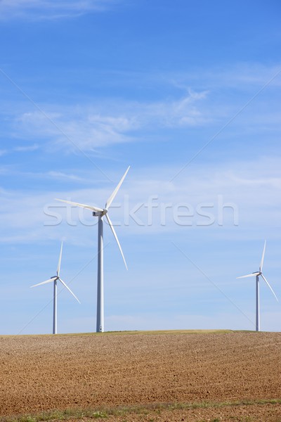 Vento energia elettrici potere produzione farm Foto d'archivio © pedrosala