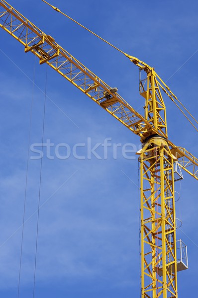 Yellow crane Stock photo © pedrosala