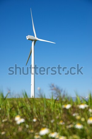 Vento energia elétrico poder produção flor Foto stock © pedrosala