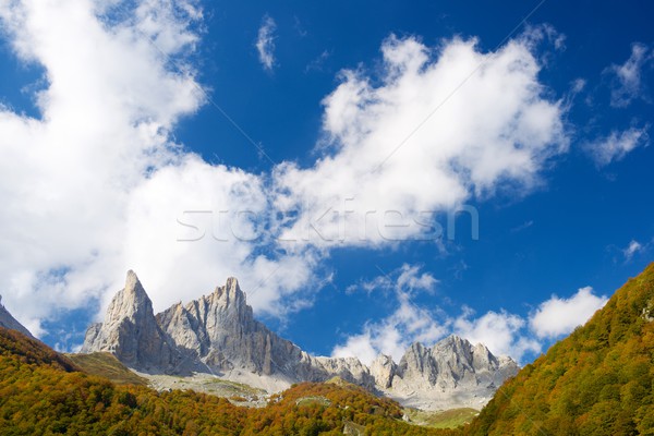 Pyrenees Stock photo © pedrosala