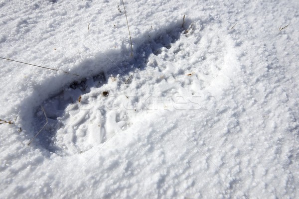 [[stock_photo]]: Empreinte · montagne · démarrage · neige · sport · résumé