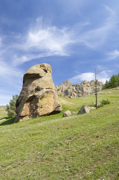 Mongolian landscape Stock photo © pedrosala