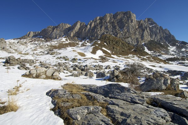Mountain landscape Stock photo © pedrosala