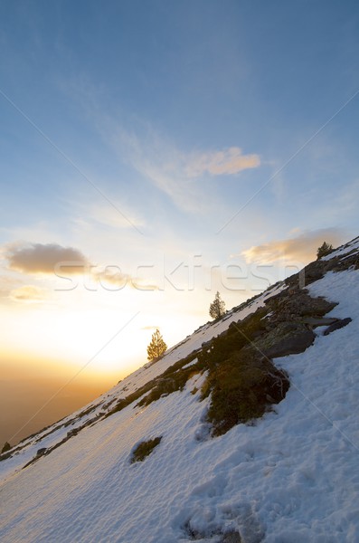 Moncayo Stock photo © pedrosala